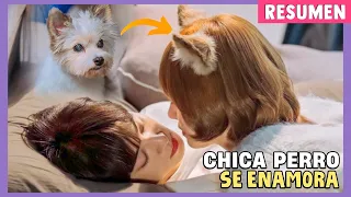 🌸Una MALDICIÓN la CONVIERTE en PERRO y solo ÉL puede ROMPERARLA con un💋 | "A Good Day To Be A Dog"