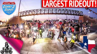 Dallas Grom scene turns outs BIG!