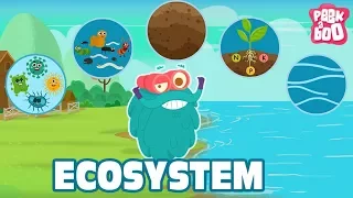 ECOSYSTEM - The Dr. Binocs Show | Best Learning Videos For Kids | Peekaboo Kidz