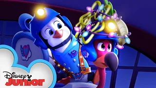 Pip Has Freddy's Back 😊| T.O.T.S.| Disney Junior