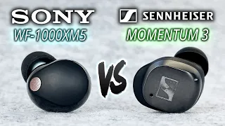 SOUND KING DETHRONED! Sony WF-1000XM5 vs Sennheiser Momentum 3