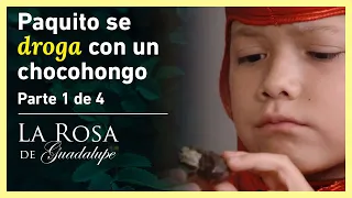 La Rosa de Guadalupe 1/4: Paquito se da cuenta que Pedro se droga | Chocohongos