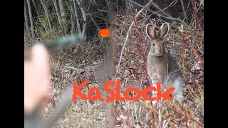 Blowgunning Rabbits with Lots of Kill Shots