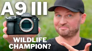 Sony A9 III For Wildlife: The GOOD, The BAD & The SURPRISING!