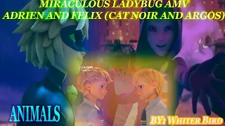 Miraculous Ladybug [AMV] | Adrien and Felix (Cat Noir and Argos) | Animal