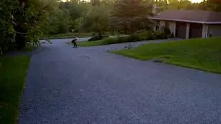 Longboarding: Cheese Grater sessions