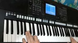 Лоза Юрий - Плот - Синтезатор Yamaha PSR-S750