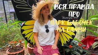 Парк бабочек (Butterfly park Samui) на Самуи . Стоит посетить или нет?