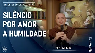 Silêncio por amor a humildade | (Mt 9, 27-31) #955 -  Meditação da Palavra