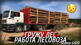 Гружу лес, работа лесовоза!