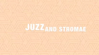 Stromae Tous Les Mêmes Remix Juzz