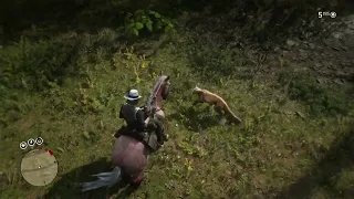 The bravest horse in the game : RDR2