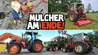 GRAS zu HOCH oder Mulcher zu SCHLECHT? | DEMA Mulcher am ENDE! | Heuwender fit gemacht | IHC 633