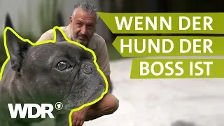 Dem Hund Grenzen setzen | Hunde verstehen | S01/E01 | WDR