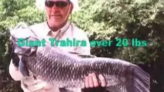 Fishing World Records in the Amazon