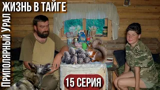 Жизнь в тайге | Дожди, воды в реке больше чем весной | Кедровый сбор | В гостях у Владимира Рыбина