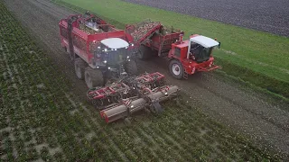 12 row Sugarbeet harvesting | Agrifac Hexx Traxx 12 | Dewulf Overlaadwagen | Bieten Rooien | 2022