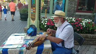 The Dulcimer Guy- Cant Help Falling in Love