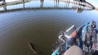 Pre Spawn Bass Fishing On The California Delta (Its Heating Up!)