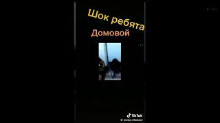 Поймали настоящего домового!