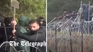 Migrants break down Belarus-Poland border fencing