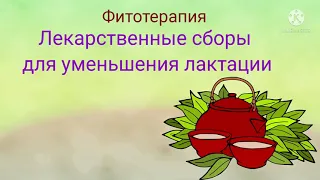 Лактация. Гиперлактация. Лекарственные растения для прекращения лактации в домашних условиях