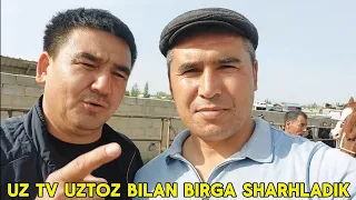 Yangiqõrģon tumani Begabod ot bozori bugungi narhlar bilan tanishing 20.04.2024yil