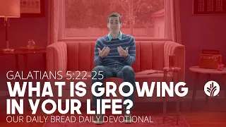 What is Growing in Your Life? | Galatians 5 | Our Daily Bread | Daily Devotional