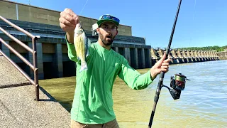 I Caught The RIVER MONSTER Below this Giant Dam! -- (Catch and Cook!)