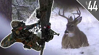 CRAZY ENCOUNTER with a BUCK! - ARROW RELEASED!  | South Dakota Bowhunt