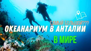 Самый большой Океанариум в Мире! Океанариум в Анталии.