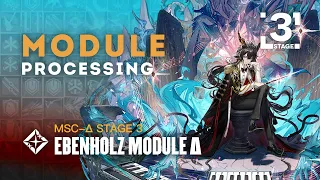 Ebenholz Module Δ Upgrade LV3 Showcase - Going Ele-mental