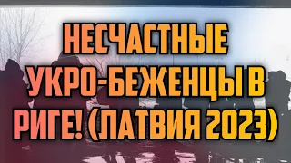 НЕСЧАСТНЫЕ УКРО-БЕЖЕНЦЫ В РИГЕ! (ЛАТВИЯ 2023) | КРИМИНАЛЬНАЯ ЛАТВИЯ