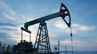 Higher Oil Prices Are Here to Stay: Energy Aspect’s Sen