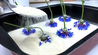 Как СУШИТЬ ВАСИЛЬКИ? 🔥💎💙 How To Dry CORNFLOWERS? 💙