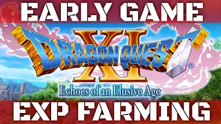 Dragon Quest 11 Exp Farming Early Game