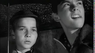 Фильм - Друзья по жизни  (1955,Франция, Италия, Испания)