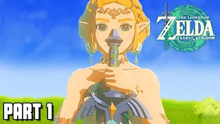 LEGEND OF ZELDA "TEARS OF THE KINGDOM" FULL GAMEPLAY WALKTHROUGH (PART 1)