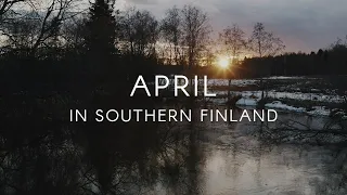 FINLAND NATURE Birds of April