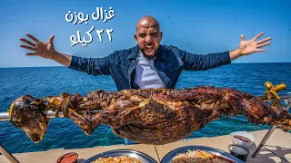 تحدي ٤ مليون غزالة بوزن ٢٢ كيلو 🦌 Full Gazelle Challenge 22 Kilos (4 million)