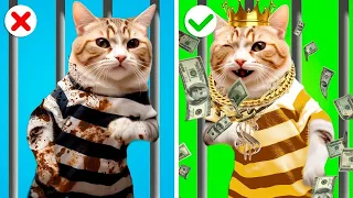 RICH Vs BROKE Kitten Rooms in JAIL! Building Secret Rooms in Jail! Funny Moments by Gotcha!