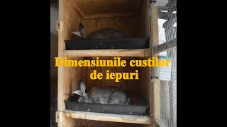 ‼️Dimensiunile cuștilor pentru iepuri în funcție de rasă 🐰