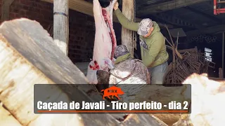 Caçada de javali - Tiro perfeito dia 2