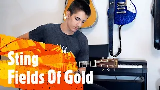 Fields Of Gold - Sting cover by Aleksa