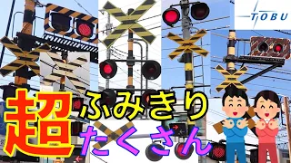 さいたま東武 踏切超たくさん Japan Railway crossing   Tobu LINE RAILWAY(japan)