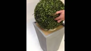 Planting an artificial boxwood ball