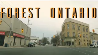 Forest Ontario 4K canada 🇨🇦