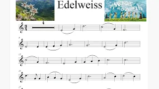 Edelweiss - La mélodie du bonheur - Violon - Sound of music