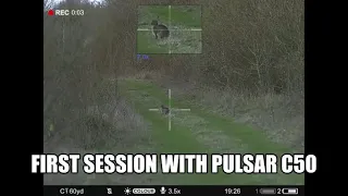 Pulsar Digex C50, my first session.
