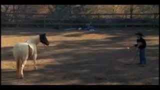 The Best way to Desensitize a Horse, Part 2 of 3 with Mike Hughes, Auburn California